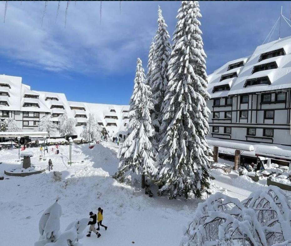 Appartamento Tim 135 Konaci-Angella Centar Kopaonik Esterno foto